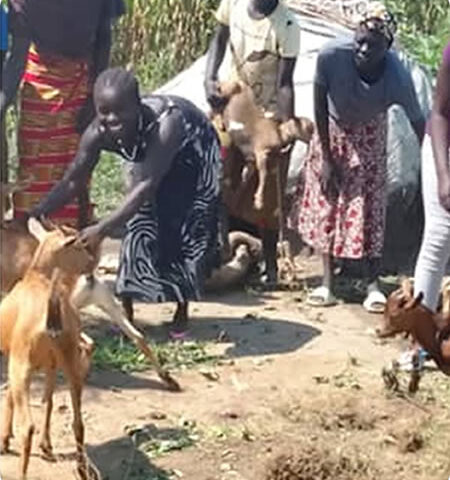 goat-rearing-sustainable-program